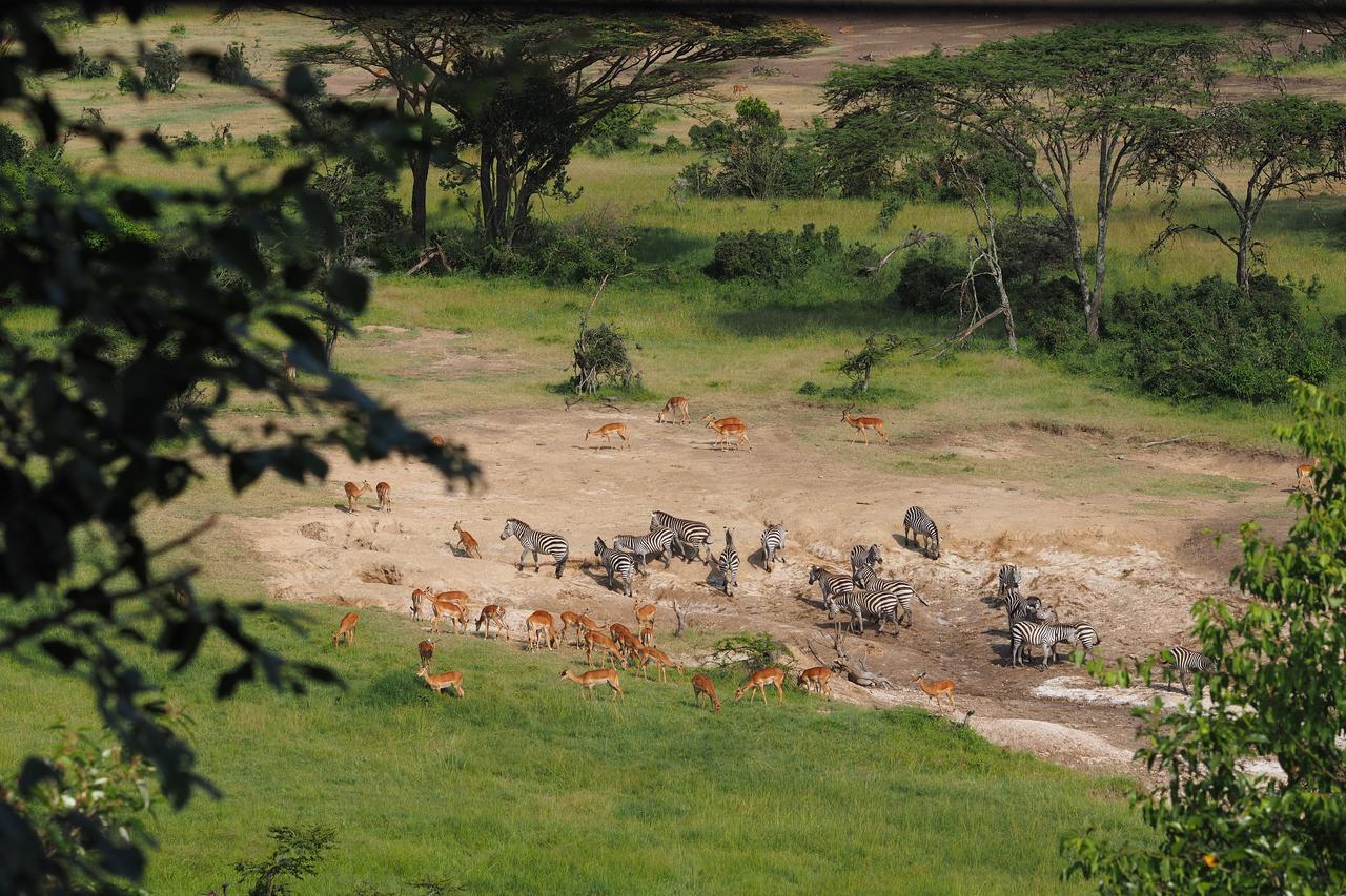 Saruni Eagle View Hotell Naboisho Exteriör bild