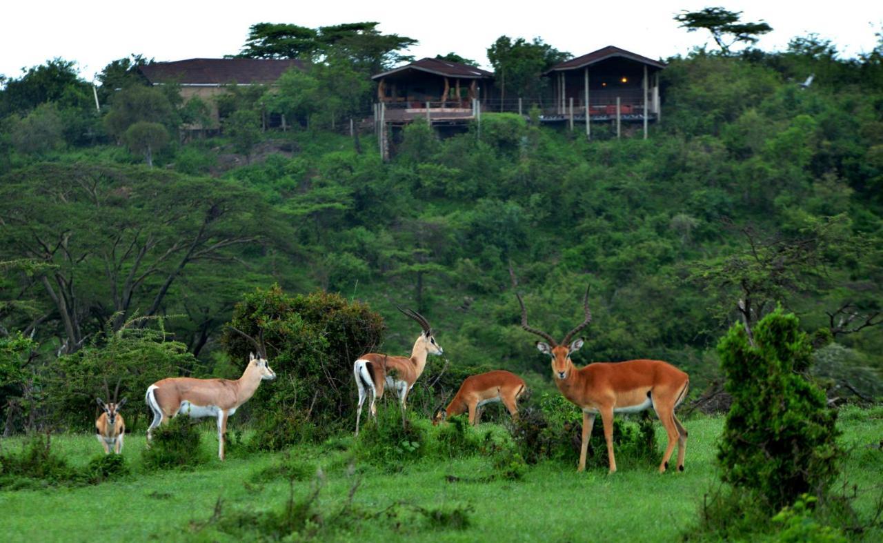 Saruni Eagle View Hotell Naboisho Exteriör bild